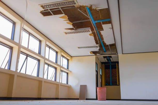 Best Ceiling water damage repair  in Pine Hills, FL