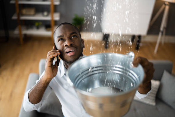  Pine Hills, FL Water damage restoration Pros
