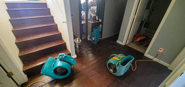 Best Sewage cleanup and water damage restoration  in Pine Hills, FL