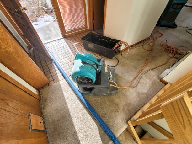 Best Residential water damage restoration  in Pine Hills, FL