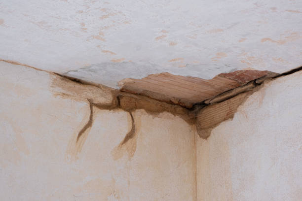 Best 24-hour water damage restoration  in Pine Hills, FL