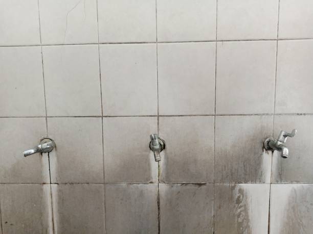 Best Water damage contractors near me  in Pine Hills, FL