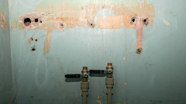 Best Water damage restoration near me  in Pine Hills, FL