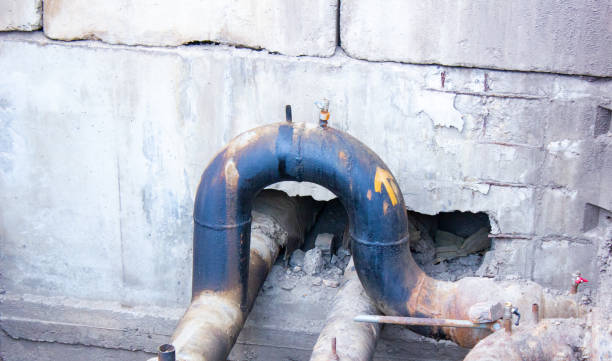 Best Water damage cleanup near me  in Pine Hills, FL