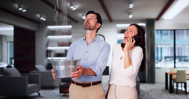 Best Fire Damage Restoration  in Pine Hills, FL