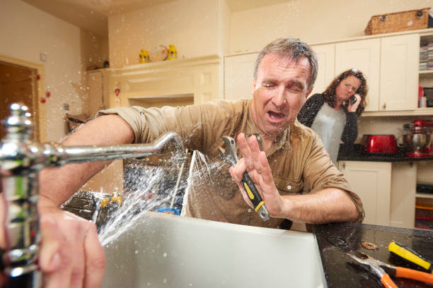 Best Mold removal after water damage  in Pine Hills, FL